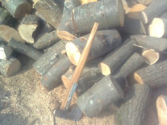 Poliţiştii anchetează un furt de lemne din pădurea de la Strunga